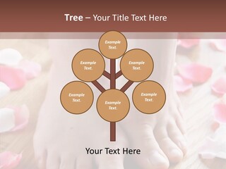 Feminine Indoors Wood PowerPoint Template