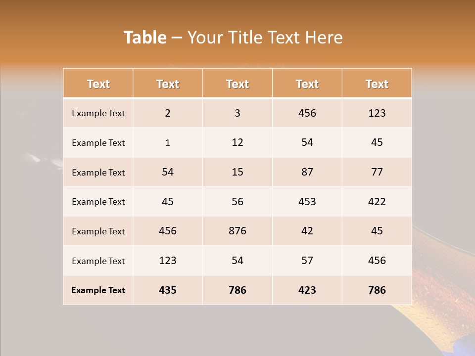 Cork Photography Shot PowerPoint Template