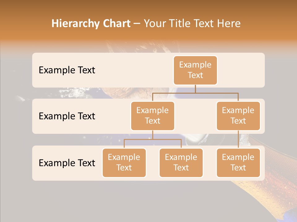 Cork Photography Shot PowerPoint Template