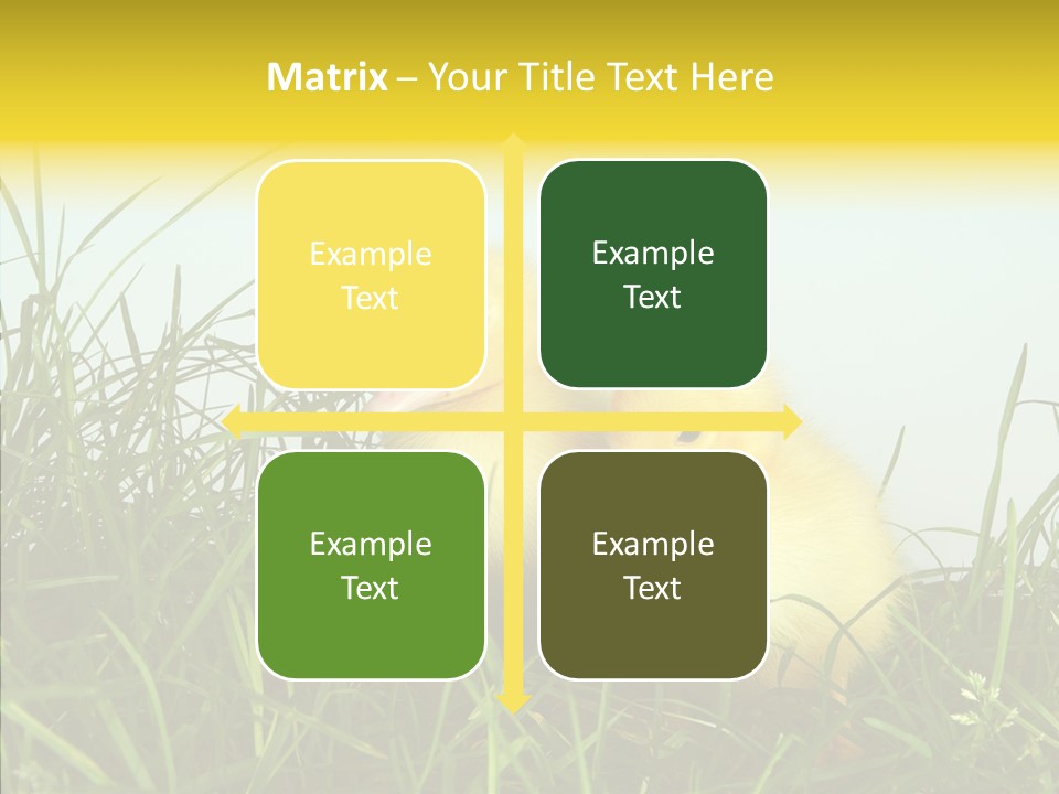 Little Holiday Wings PowerPoint Template