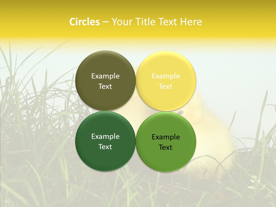 Little Holiday Wings PowerPoint Template