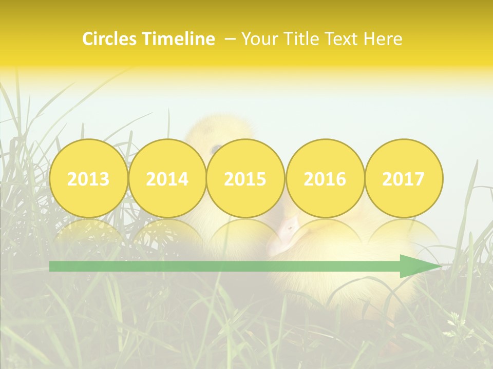 Little Holiday Wings PowerPoint Template