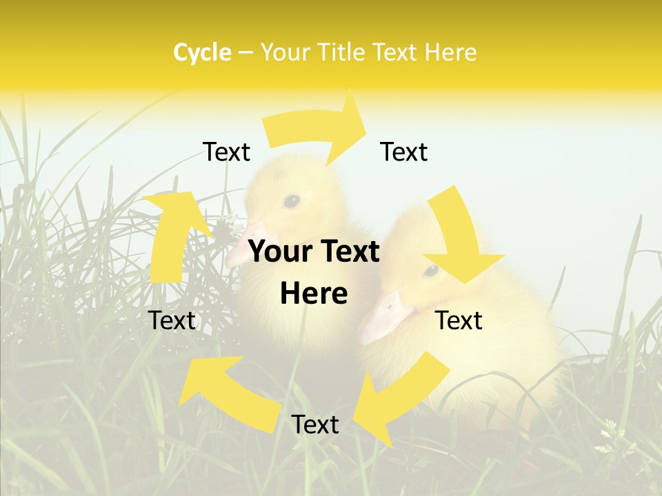 Little Holiday Wings PowerPoint Template