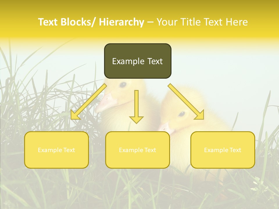 Little Holiday Wings PowerPoint Template