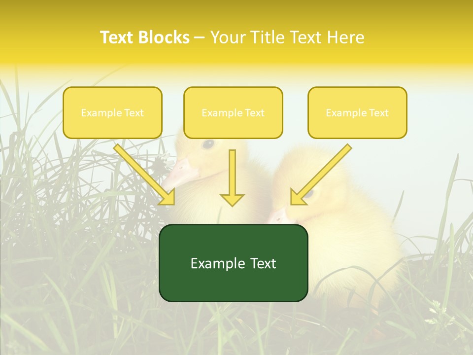 Little Holiday Wings PowerPoint Template