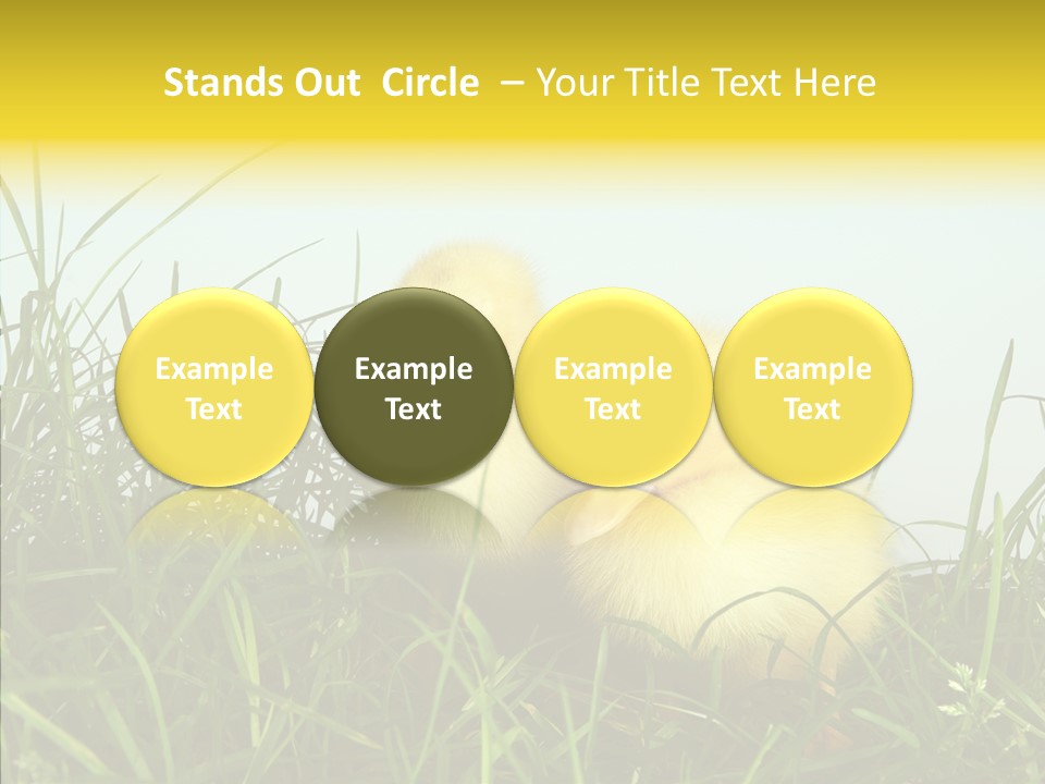 Little Holiday Wings PowerPoint Template