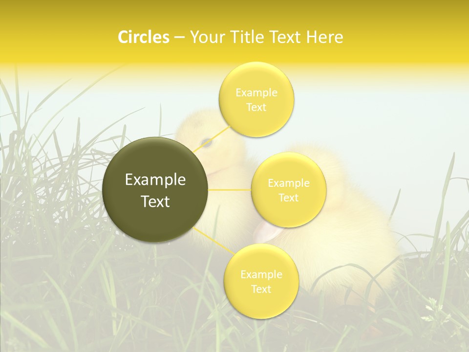 Little Holiday Wings PowerPoint Template