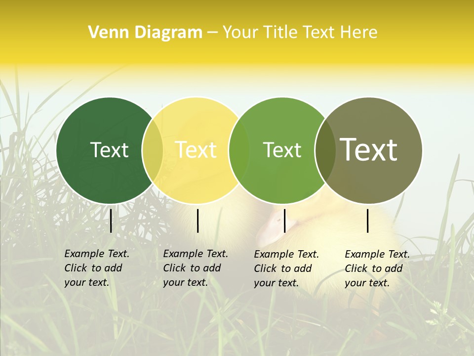 Little Holiday Wings PowerPoint Template