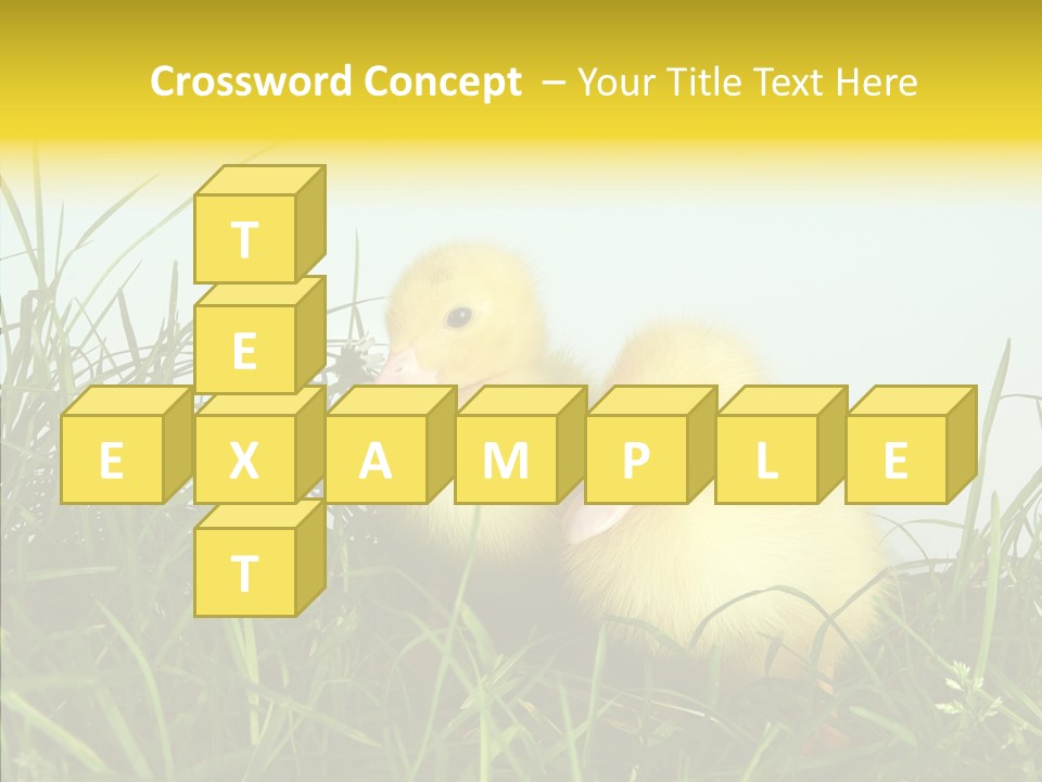Little Holiday Wings PowerPoint Template