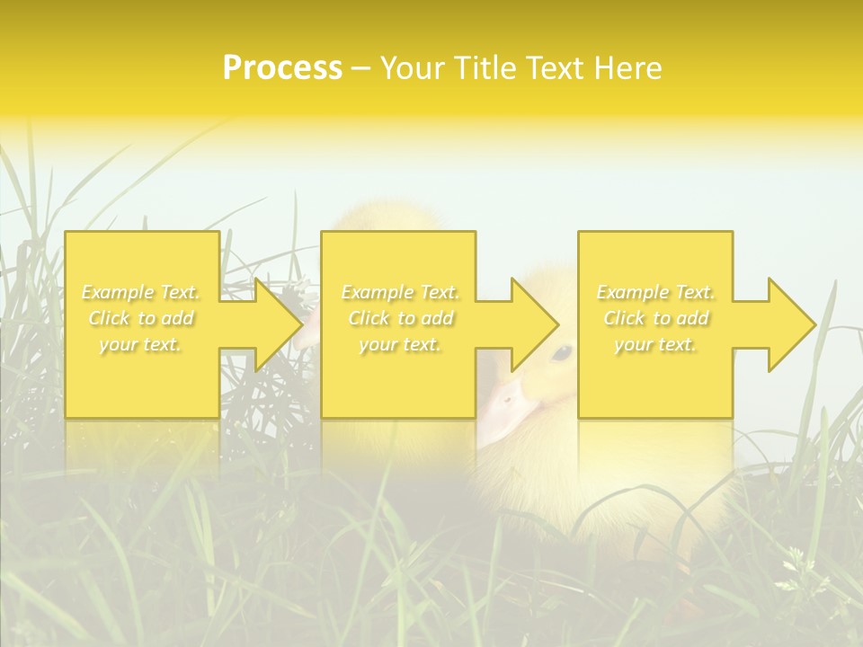 Little Holiday Wings PowerPoint Template