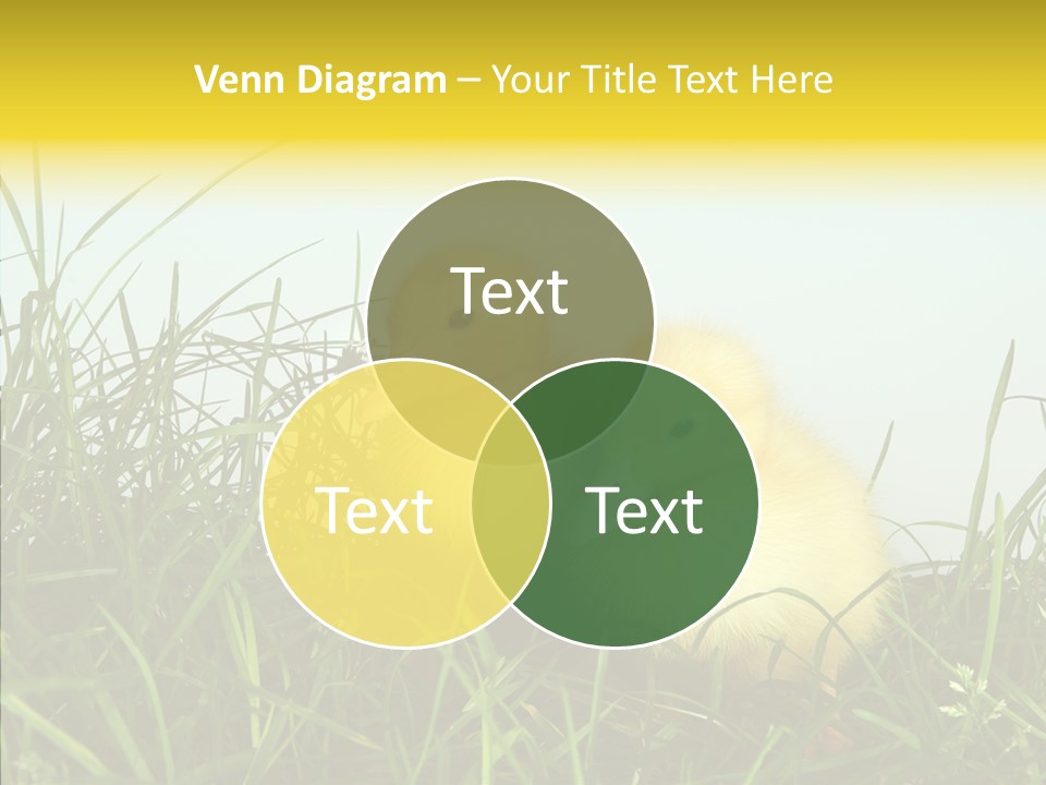 Little Holiday Wings PowerPoint Template