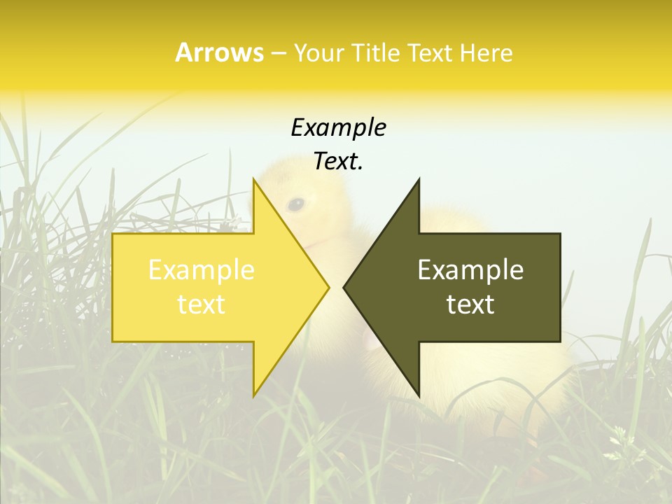 Little Holiday Wings PowerPoint Template