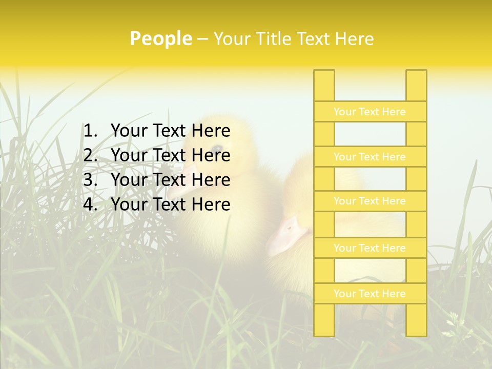 Little Holiday Wings PowerPoint Template