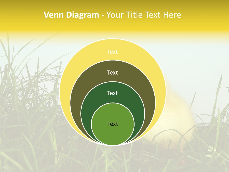 Little Holiday Wings PowerPoint Template