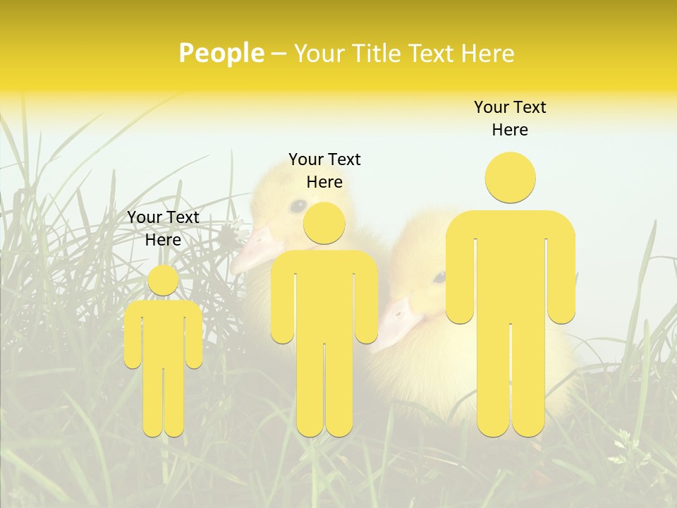 Little Holiday Wings PowerPoint Template