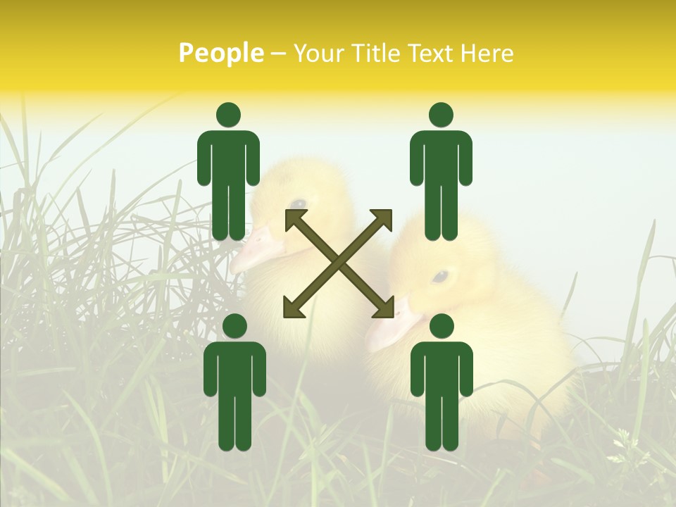 Little Holiday Wings PowerPoint Template