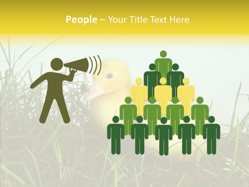 Little Holiday Wings PowerPoint Template