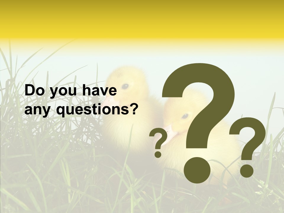 Little Holiday Wings PowerPoint Template