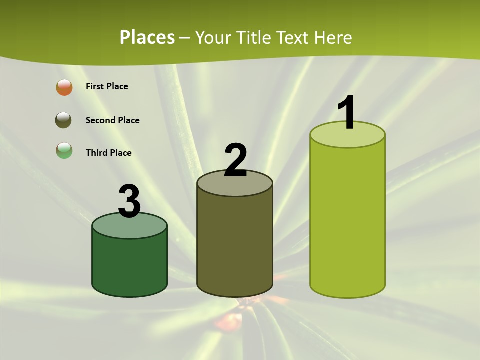 Sprig Xmas Summer PowerPoint Template