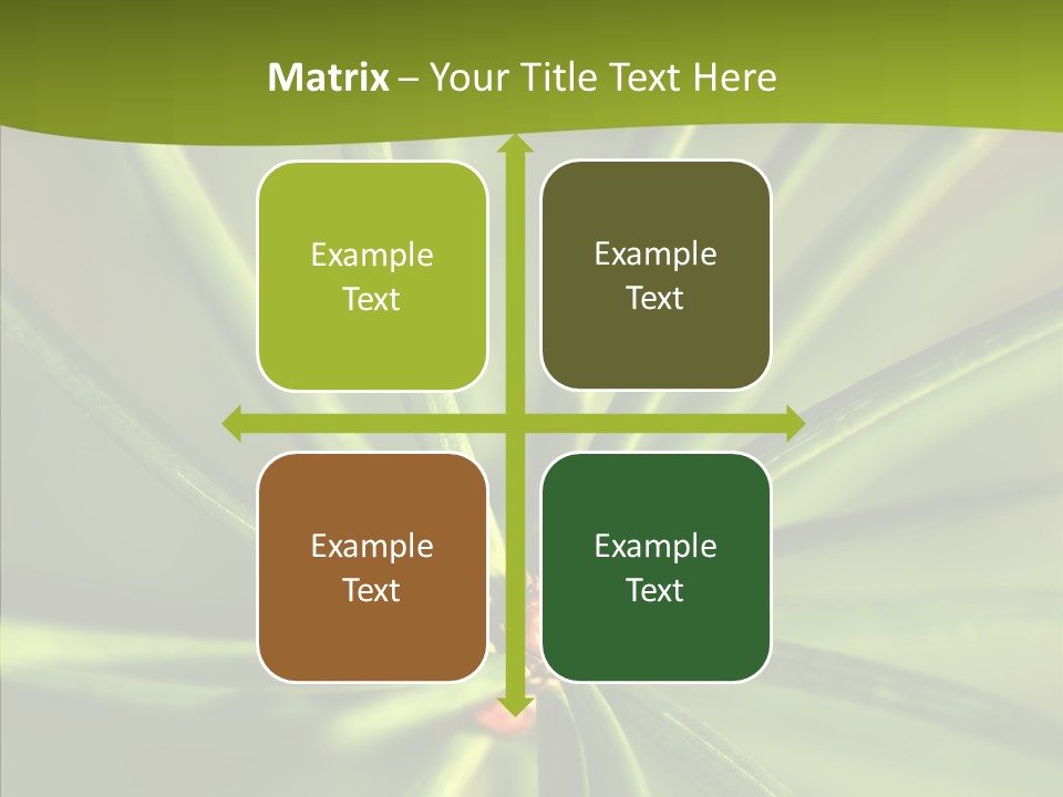 Sprig Xmas Summer PowerPoint Template