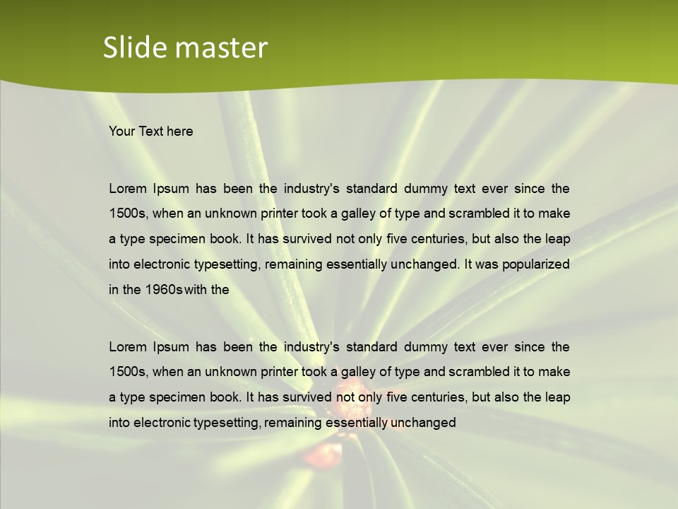 Sprig Xmas Summer PowerPoint Template