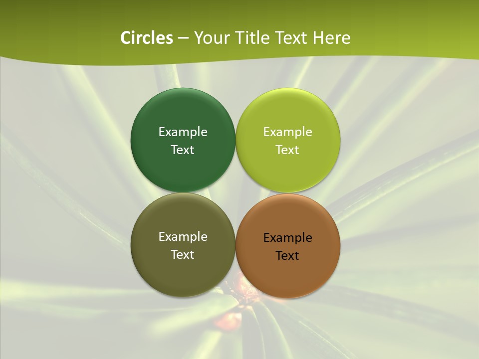 Sprig Xmas Summer PowerPoint Template