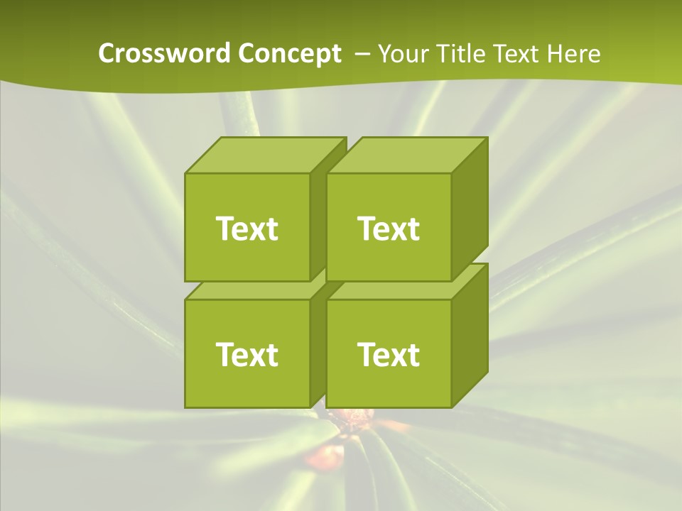 Sprig Xmas Summer PowerPoint Template