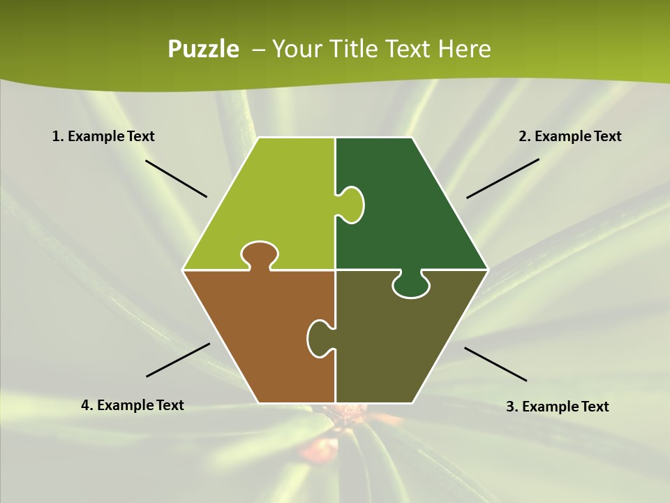 Sprig Xmas Summer PowerPoint Template