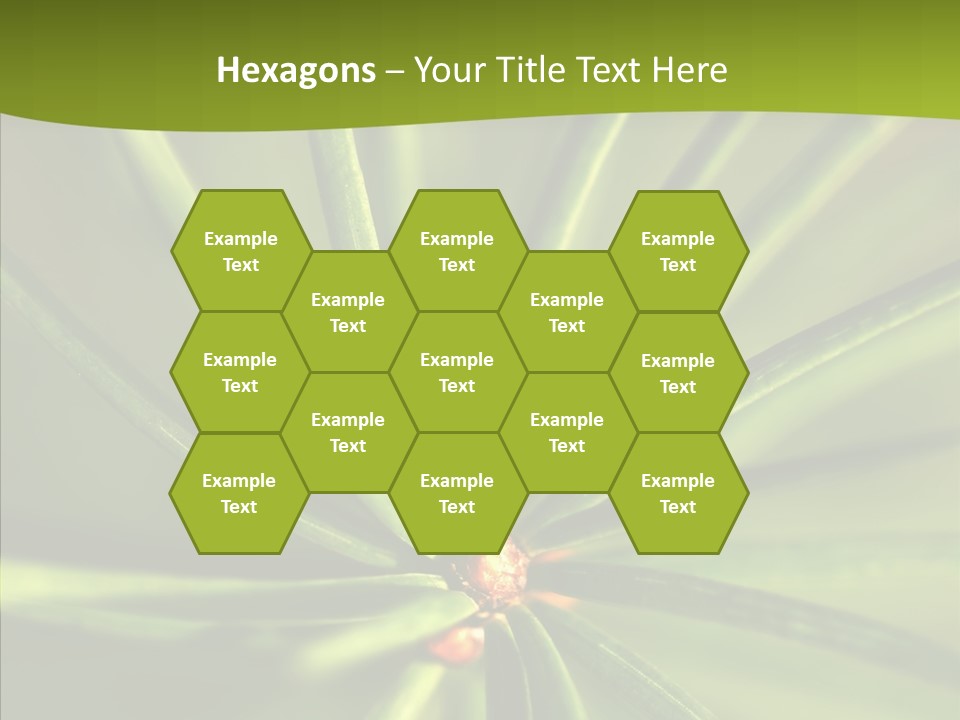 Sprig Xmas Summer PowerPoint Template