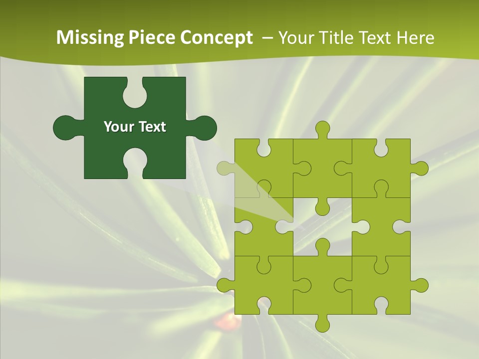 Sprig Xmas Summer PowerPoint Template