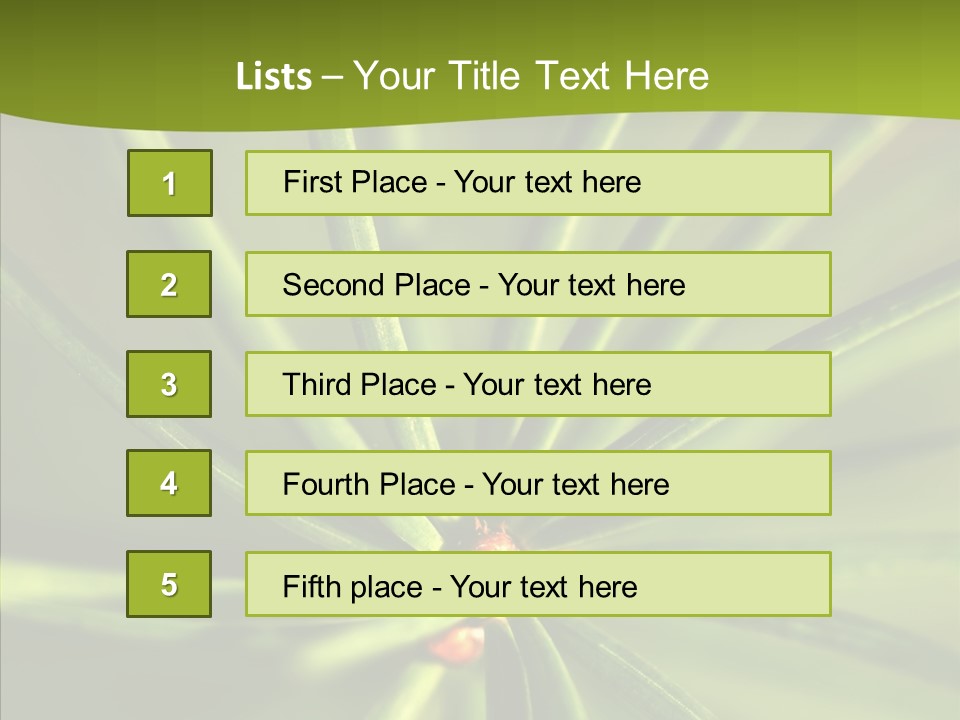 Sprig Xmas Summer PowerPoint Template