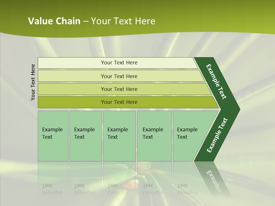 Sprig Xmas Summer PowerPoint Template