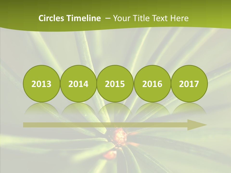 Sprig Xmas Summer PowerPoint Template