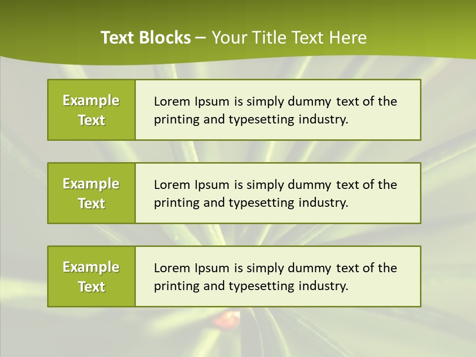 Sprig Xmas Summer PowerPoint Template