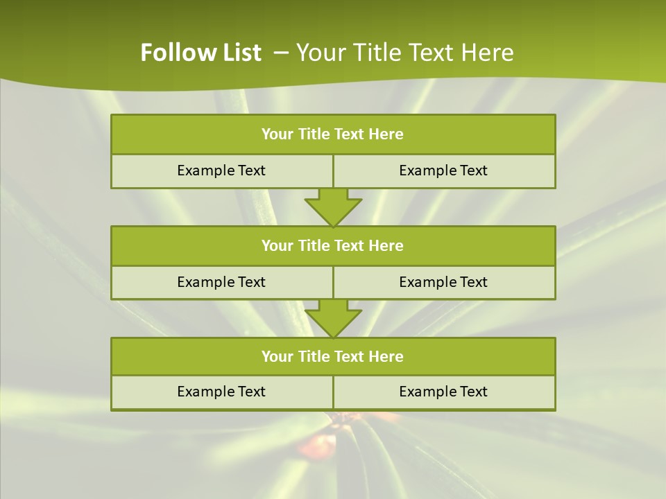 Sprig Xmas Summer PowerPoint Template