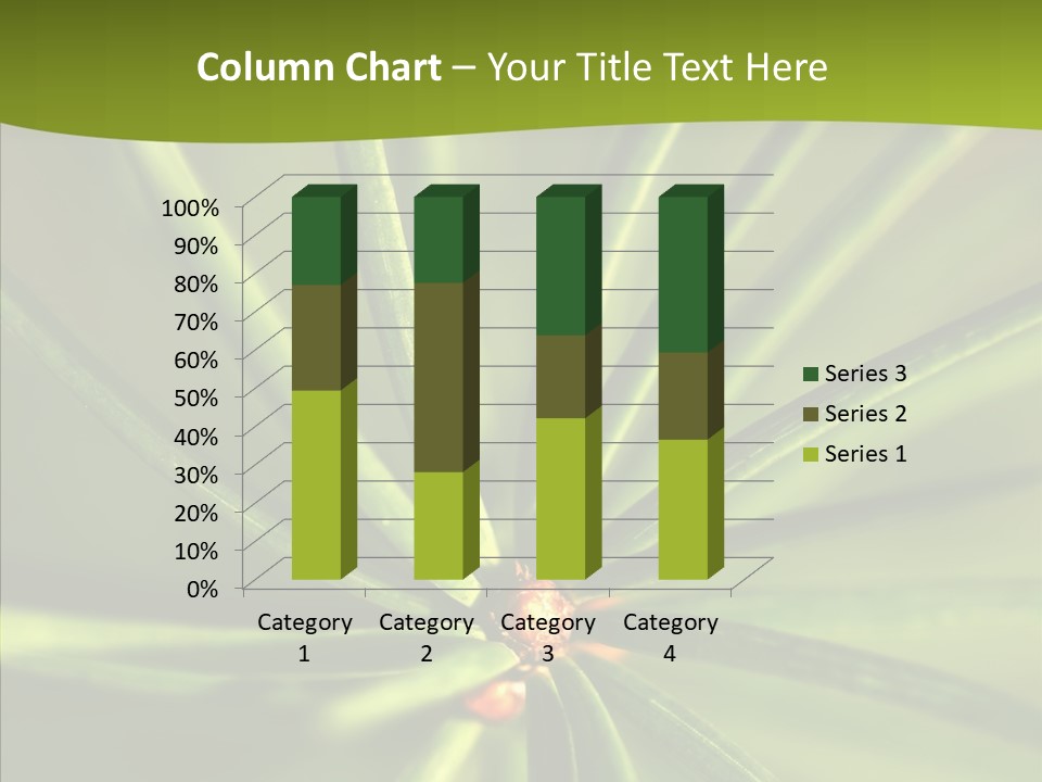 Sprig Xmas Summer PowerPoint Template