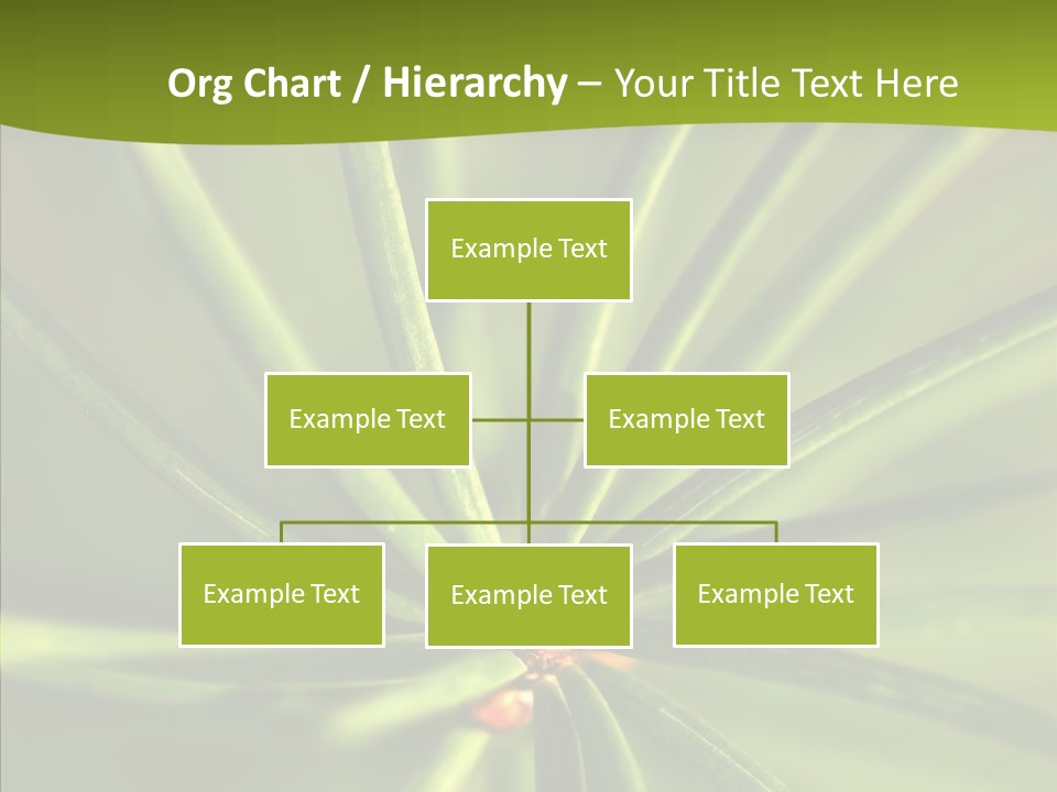 Sprig Xmas Summer PowerPoint Template