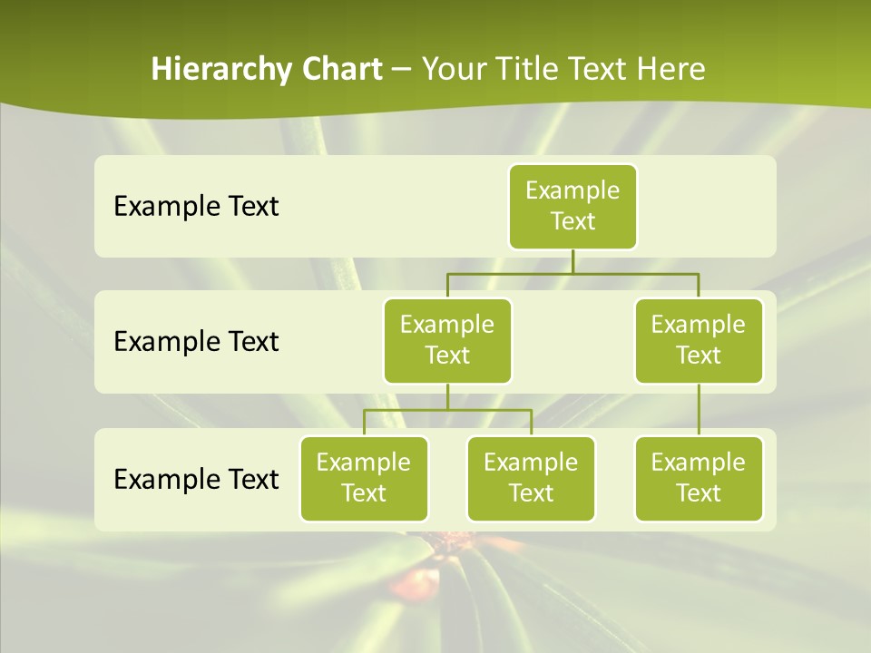 Sprig Xmas Summer PowerPoint Template