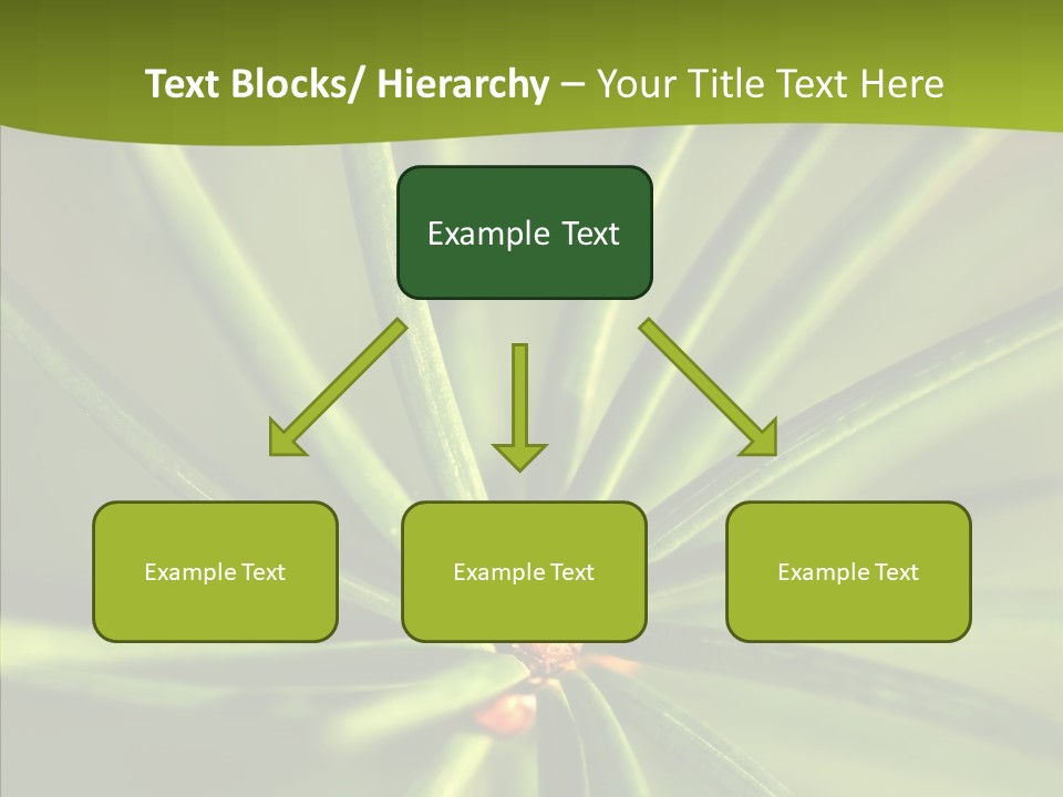 Sprig Xmas Summer PowerPoint Template