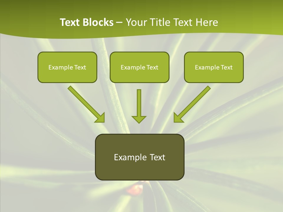 Sprig Xmas Summer PowerPoint Template