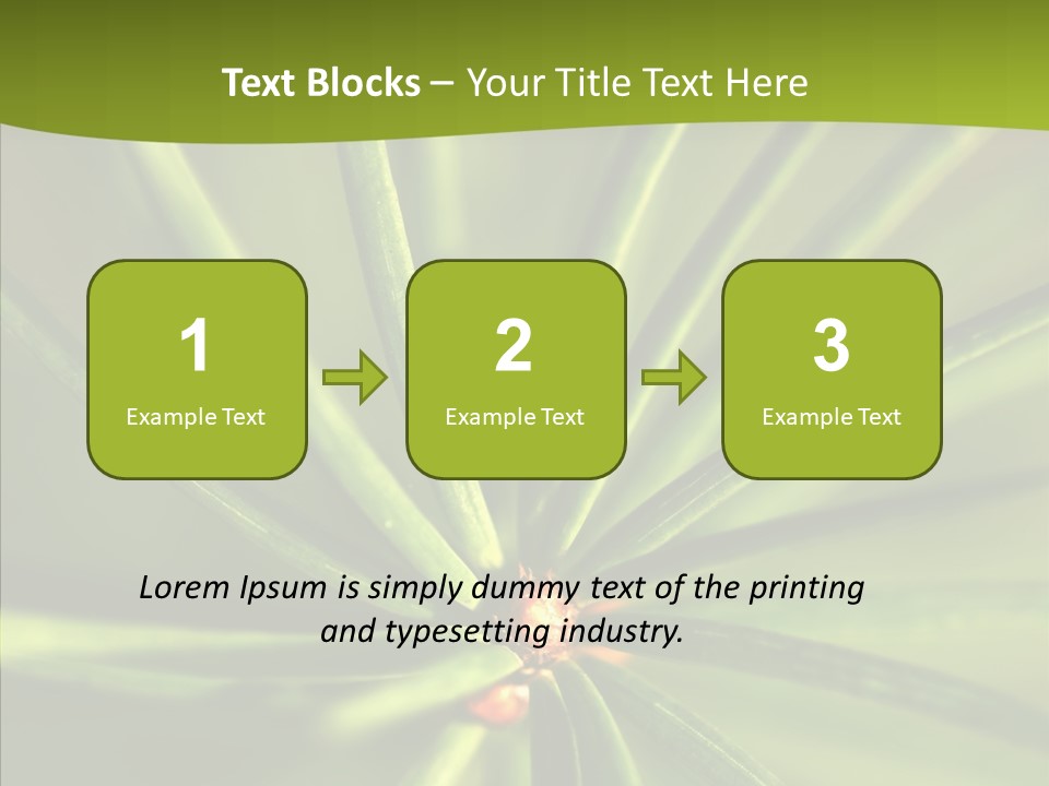 Sprig Xmas Summer PowerPoint Template