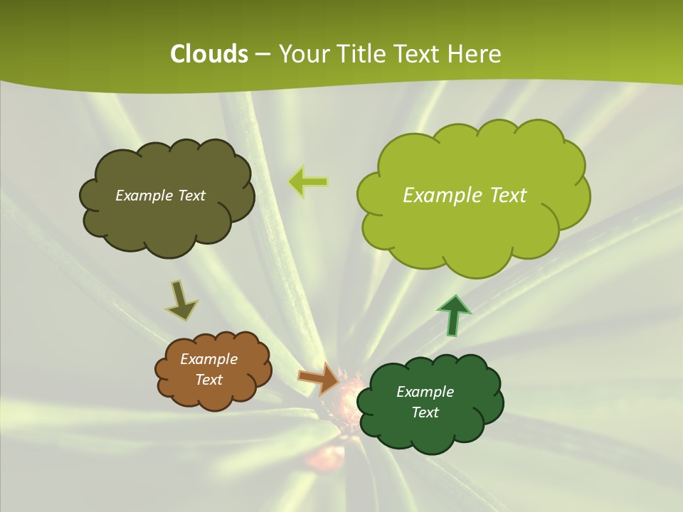 Sprig Xmas Summer PowerPoint Template