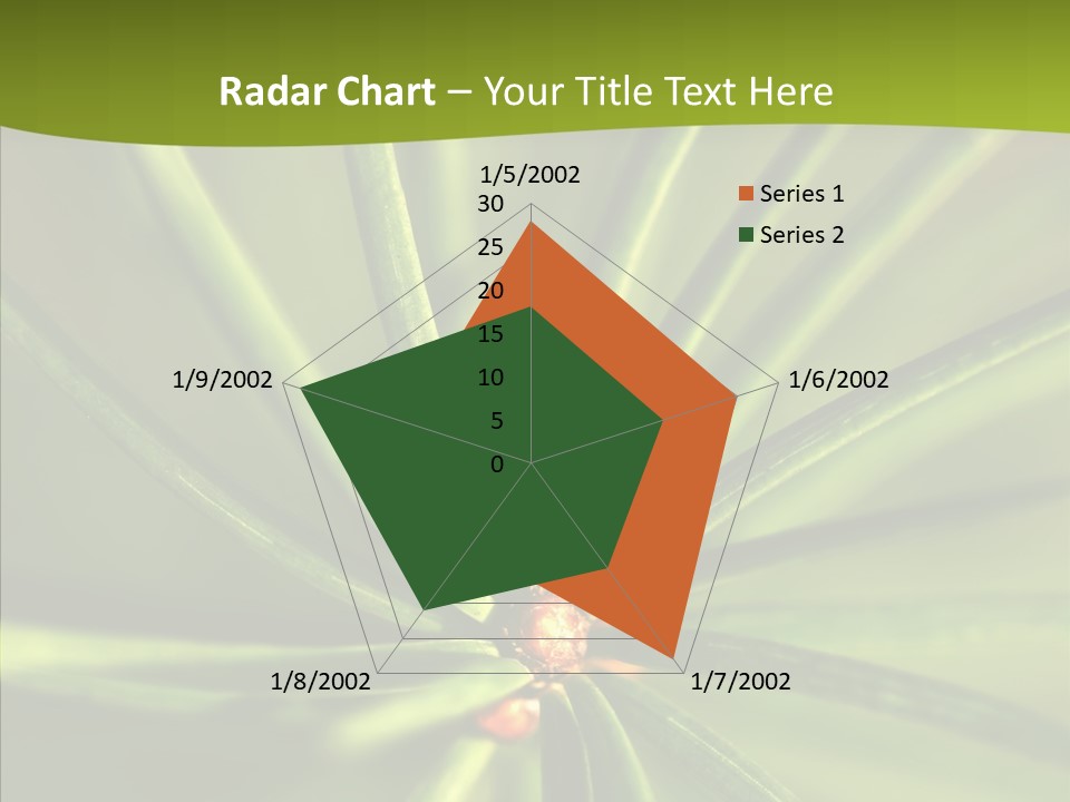 Sprig Xmas Summer PowerPoint Template