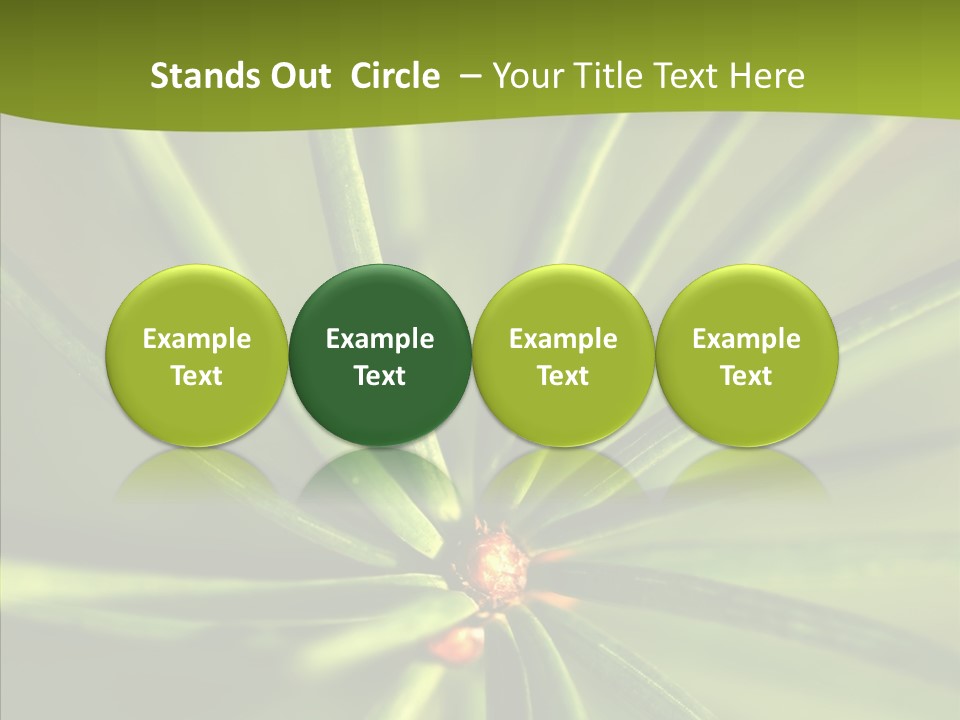 Sprig Xmas Summer PowerPoint Template