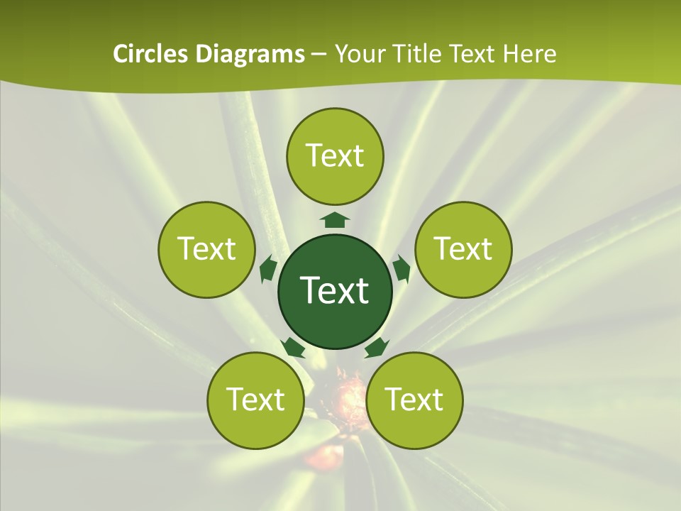 Sprig Xmas Summer PowerPoint Template