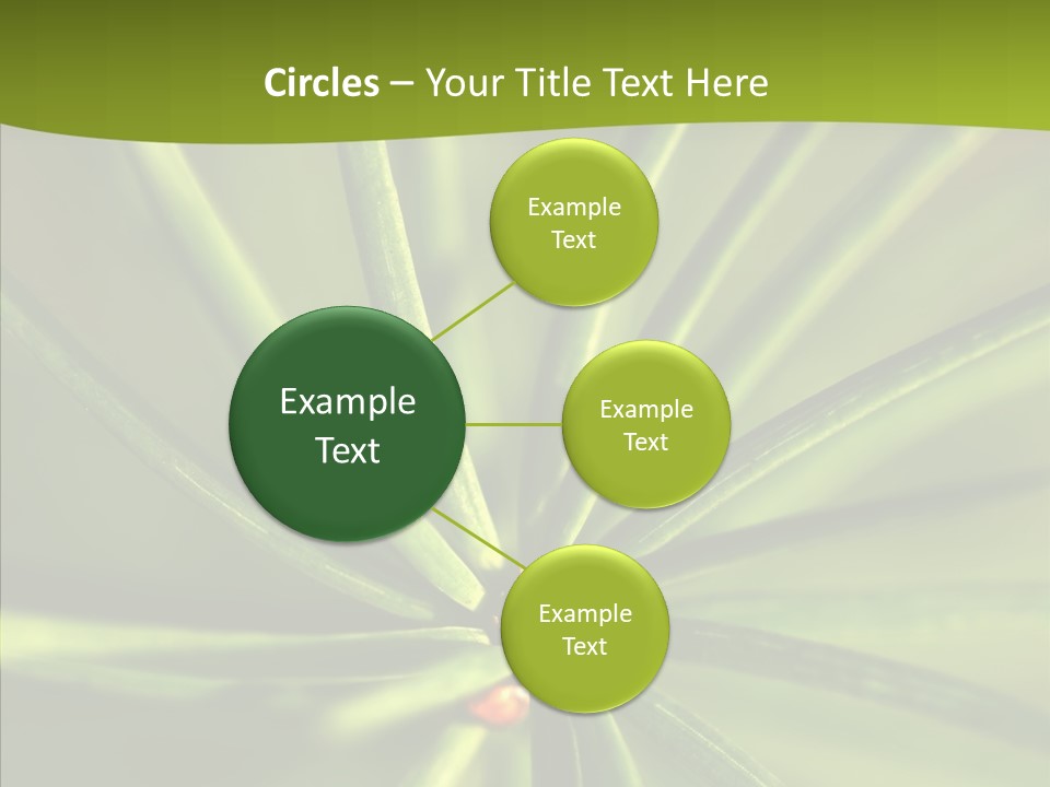 Sprig Xmas Summer PowerPoint Template