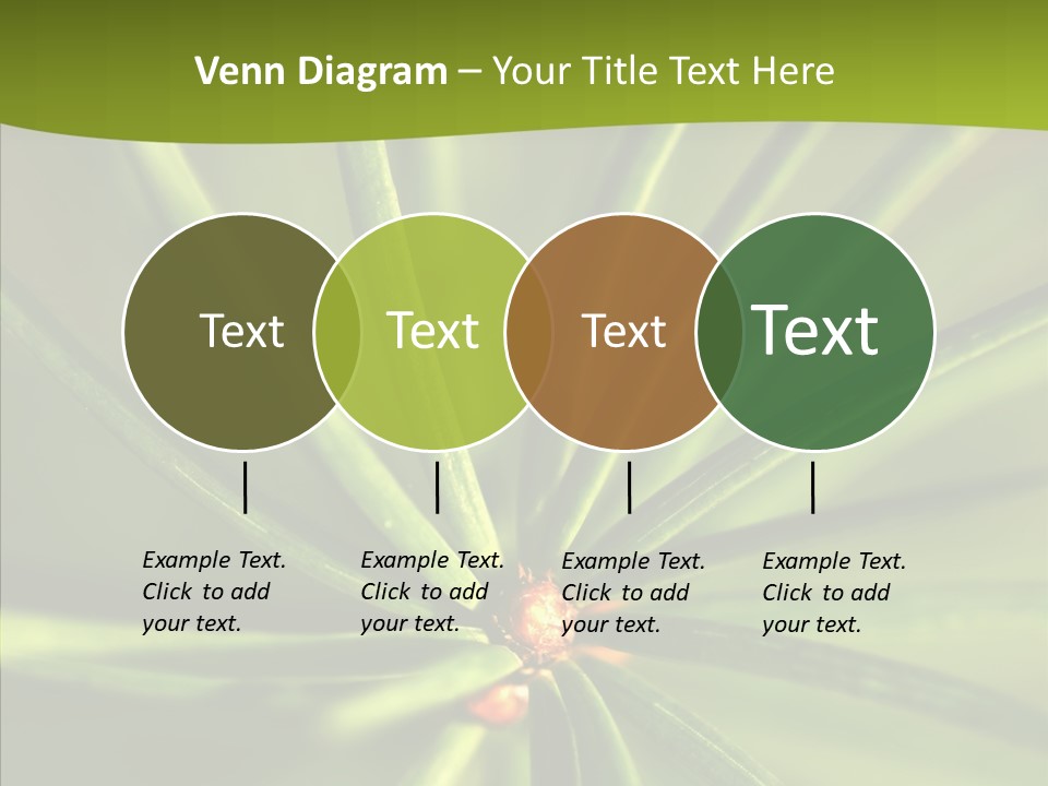 Sprig Xmas Summer PowerPoint Template