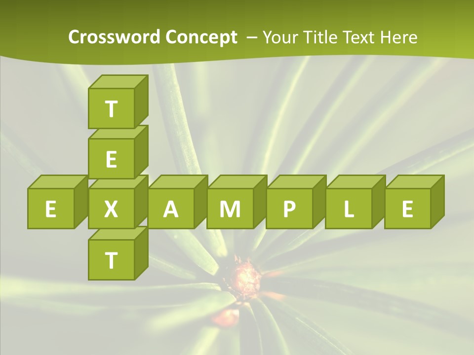 Sprig Xmas Summer PowerPoint Template