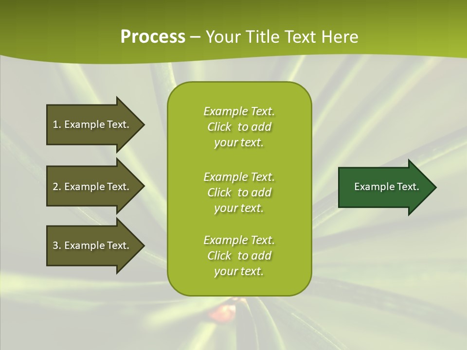 Sprig Xmas Summer PowerPoint Template