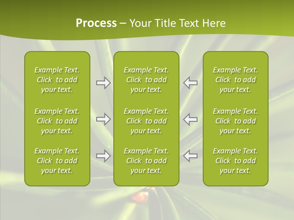 Sprig Xmas Summer PowerPoint Template